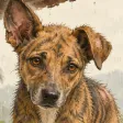 Ilustración: la cara del cachorro, mojado, mirando de frente.