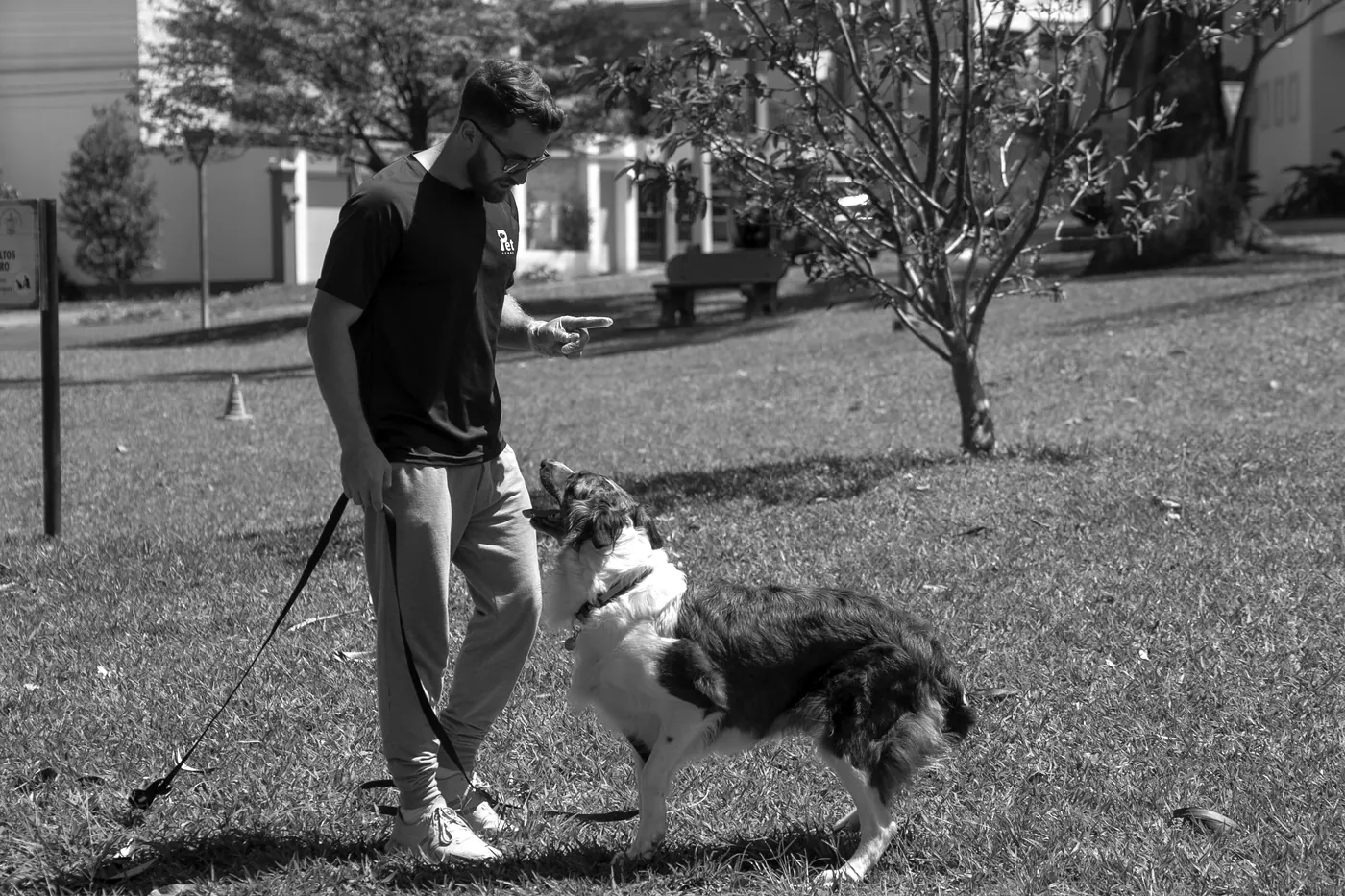 Jairo Sánchez en un parque, con la correa en la mano, dando una señal a una perra que lo mira atenta, en blanco y negro.
